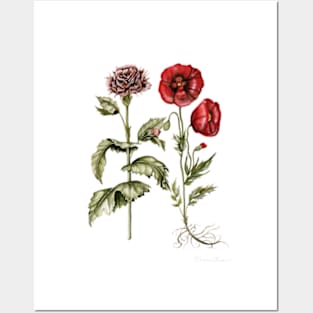 Carnation and Poppies Posters and Art